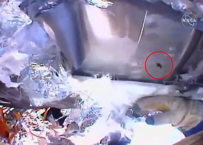 联盟号惊现破洞(红圈)。