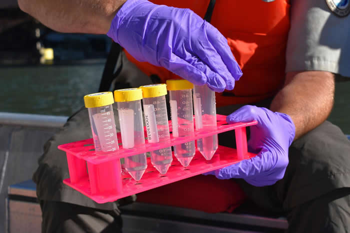 有了新的eDNA采样技术,科学家要快速研究海洋生物比以前容易多了。 NATURAL HISTORY COLLECTION/ALAMY STOCK PHOTO