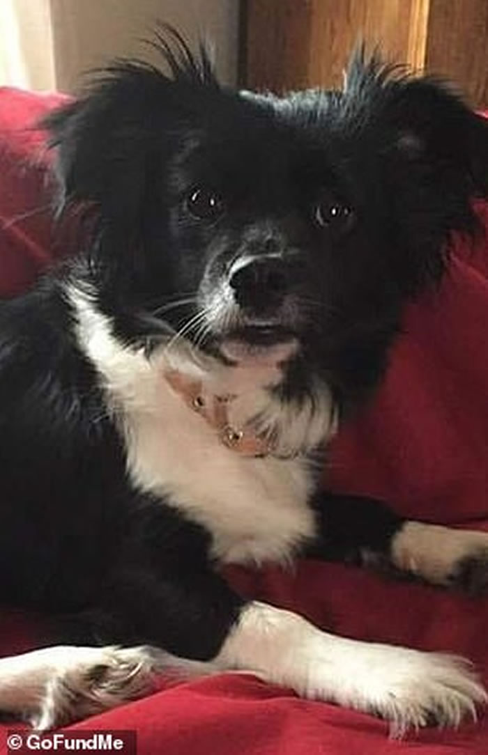 ������Ϧ��������Ů�����ɢ��ʱ�����Ϯ�� �����޷ܲ���������