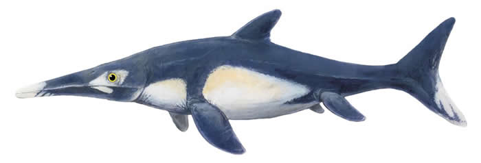 ͼʱܵѧֶ߲֪ȷɫ뻨ƣǻʯ֤ʾıɫȸ