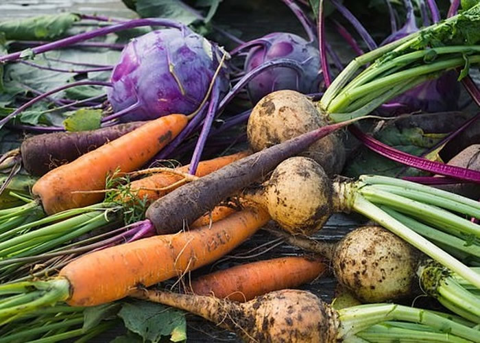 瑞典查尔默斯理工大学发现有机耕作对环境影响或更大