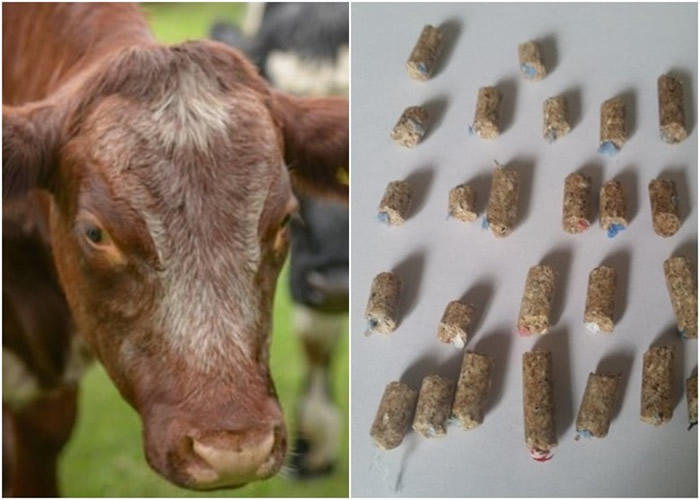 ��ũ�����˷��֣�����ι������������к����ܽ���