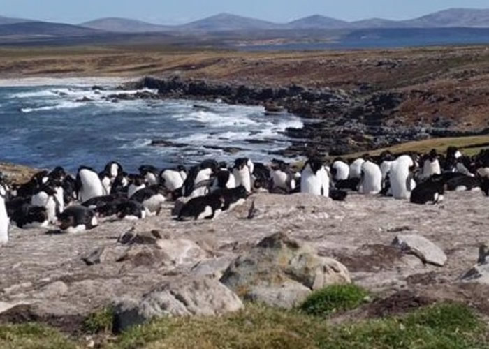 �岼�������д�����졣