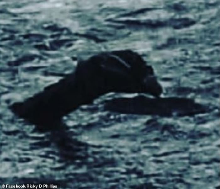 英国男子宣称撞见巨大尼斯湖水怪