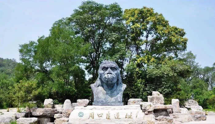 �ܿڵꡰ�����ˡ���ַ����һ������ǣ��������������ꡰ���족