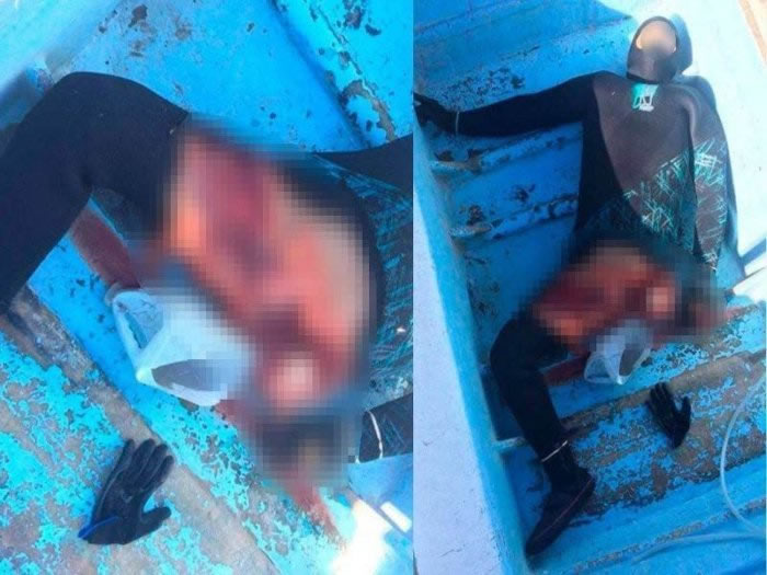 ī��������Ǳˮ��С�������������� ������ֳ���͸�����������ҧ��