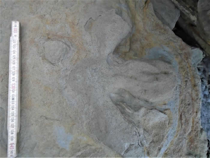 Ӣ����������˹��˹͢˹����85��������õĿ�����ӡ��ʯ