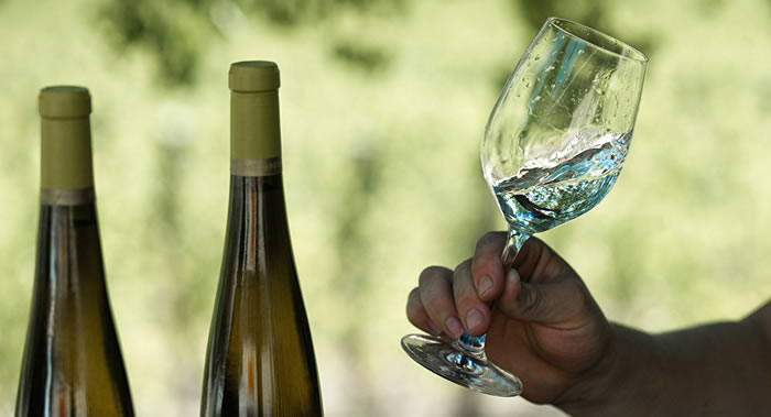 《JAMANetwork Open》期刊:适度饮酒可延长人的寿命