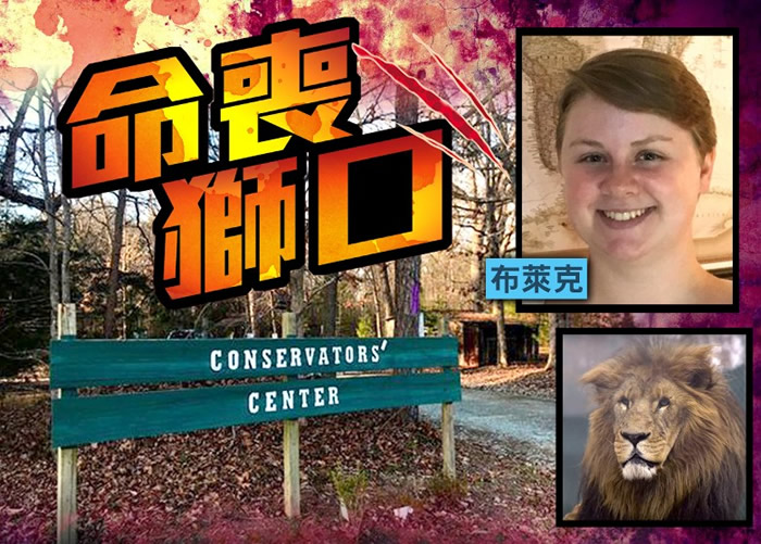 ���������������ݱ�������ŮʵϰԱ����������ڼ���ʨ��ɱ��