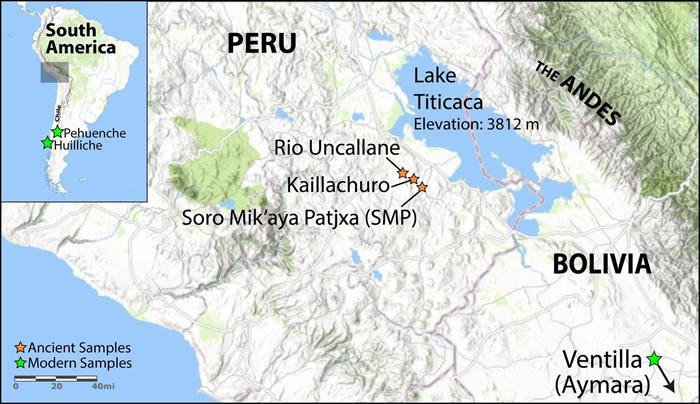 ��������������ԭ������̡�͹������о���ʾ�Ŵ���������