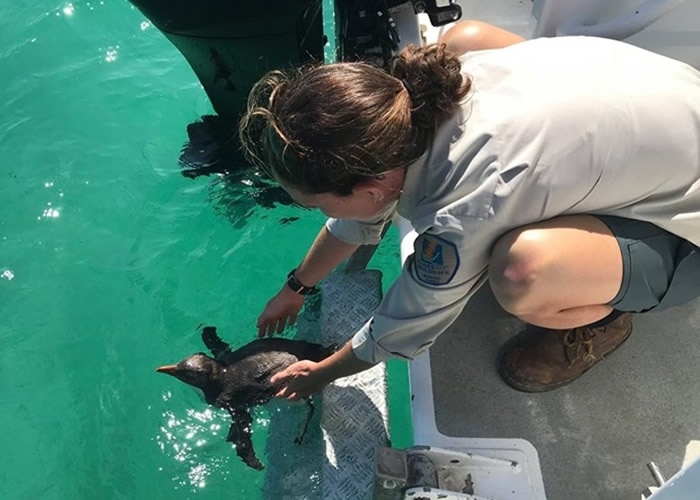 С����������԰���ϡ�