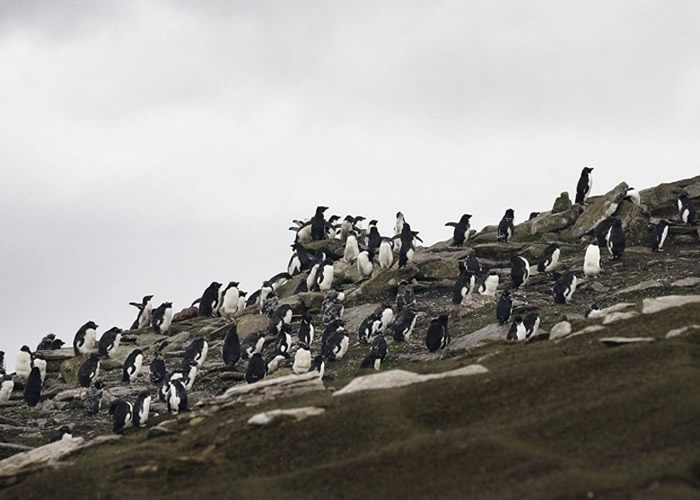 ����������Ϣ���ϼ��޸������졣