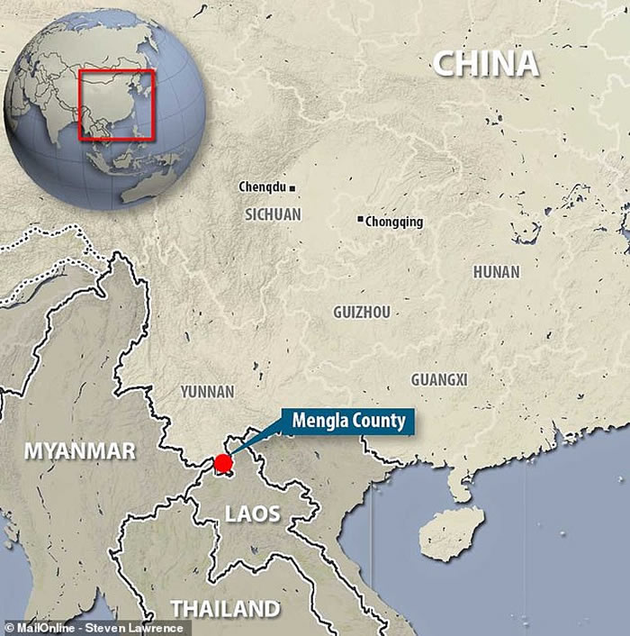 中国云南“食果类蝙蝠”身上发现新的丝状病毒 会让感染的人严重出血