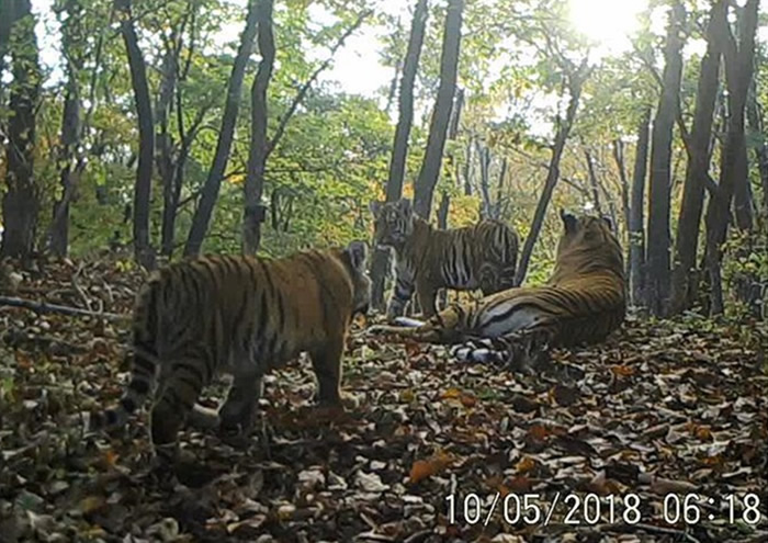 �������������������ҹ�԰Ұ����������ͥ����