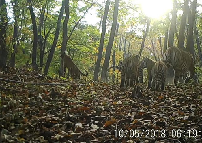 �������������������ҹ�԰Ұ����������ͥ����