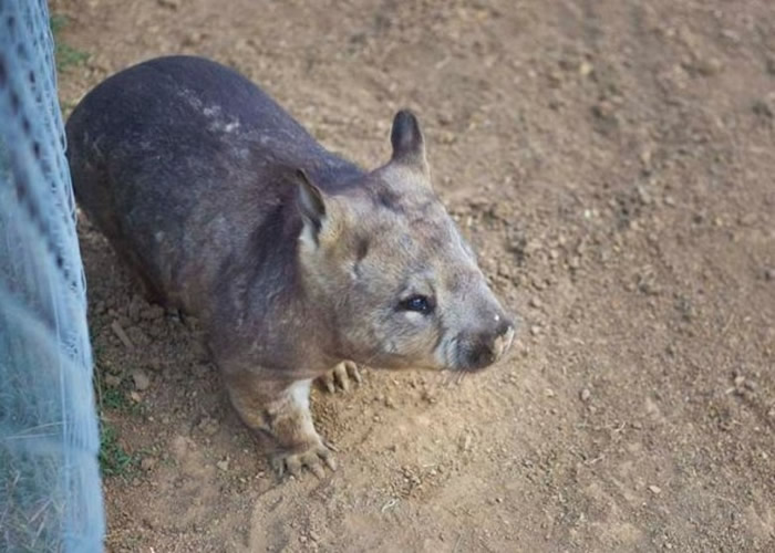 ���ܾ��������ǵ���