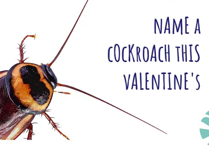 ���ڿ��������º͵ķ�ʽ��������˱�����