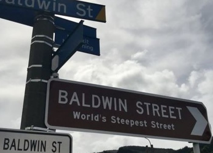 新西兰的鲍德温街,街牌上注明为“世界最斜街道”。