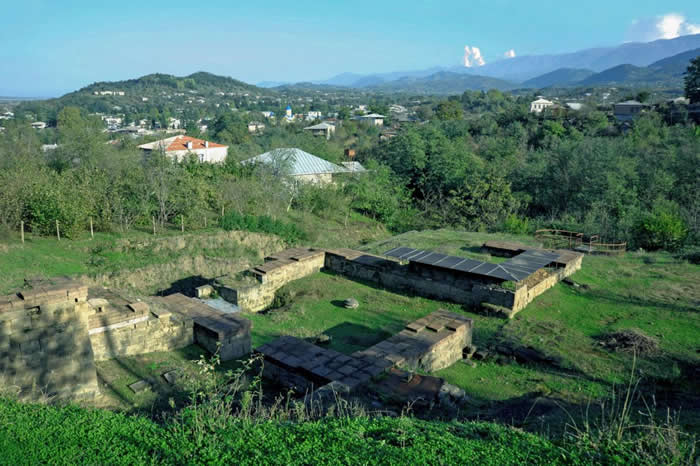 �ƶ���˼��COLCHIS��