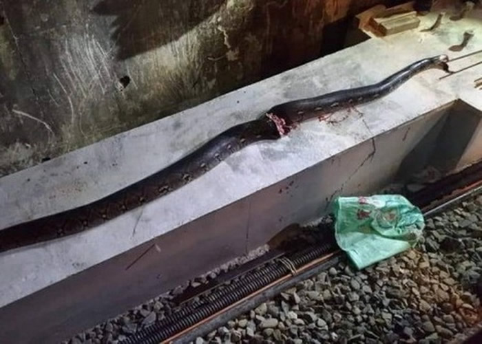 ̨��������5�׾������շ�� ��Ϊ����������