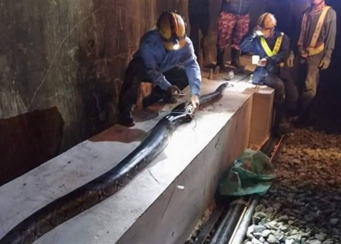 ̨��������5�׾������շ�� ��Ϊ����������