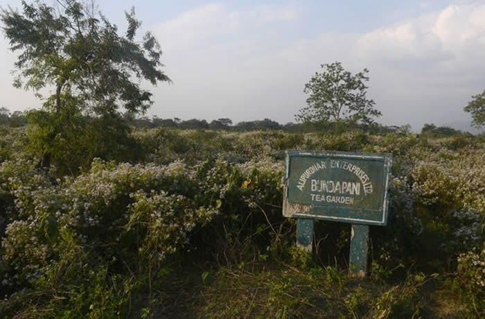 ӡ�����ϼ���3��Ůͯ��Ұ����ĸ�׻��������߳Ե�