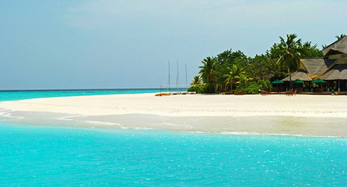 全球变暖将使海洋变得更加蓝或更加绿