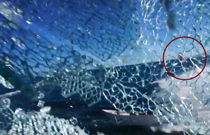 ������֯���������ˡ���ī�����ذ���ֹ����Σ����Σ��Сͷ���ࡱ���⵽����