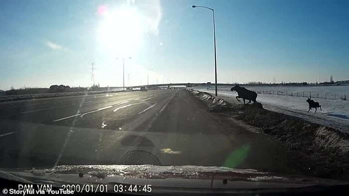 ���ô�һͷ��¹���·�ϲ���ʧ�� ��Щ�⳵��ײ��