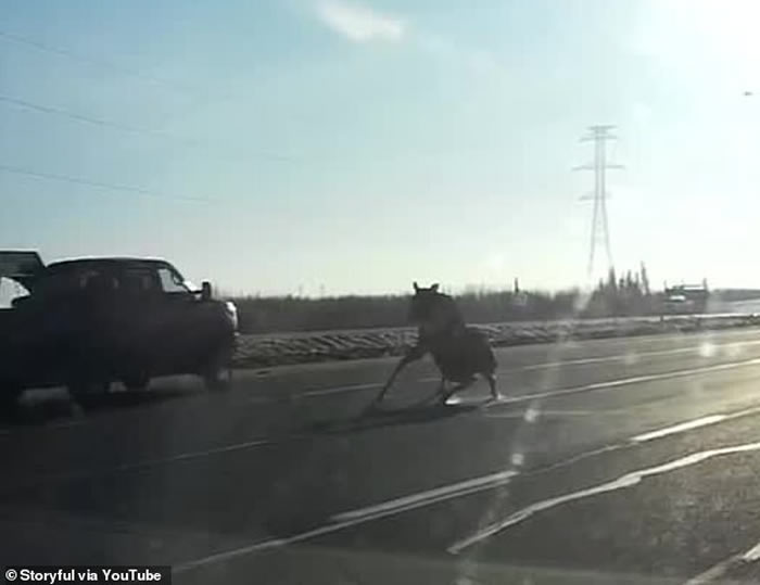 ���ô�һͷ��¹���·�ϲ���ʧ�� ��Щ�⳵��ײ��