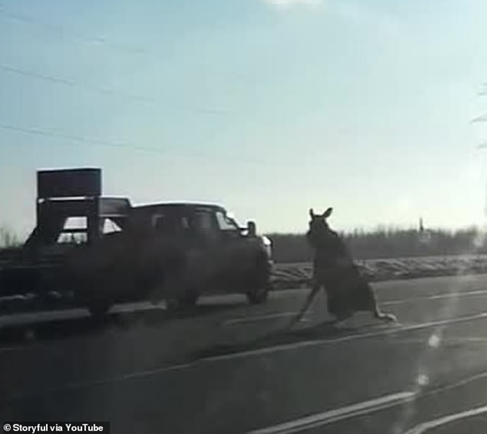 ���ô�һͷ��¹���·�ϲ���ʧ�� ��Щ�⳵��ײ��