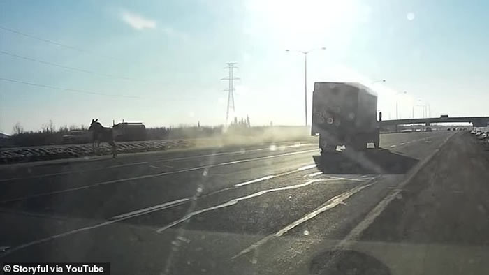 ���ô�һͷ��¹���·�ϲ���ʧ�� ��Щ�⳵��ײ��