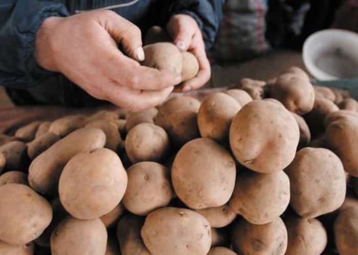 ȫ������ů��Ӱ��Ӣ����������