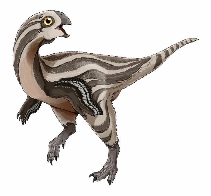 ɹŸɳĮ¿βGobiraptor minutus