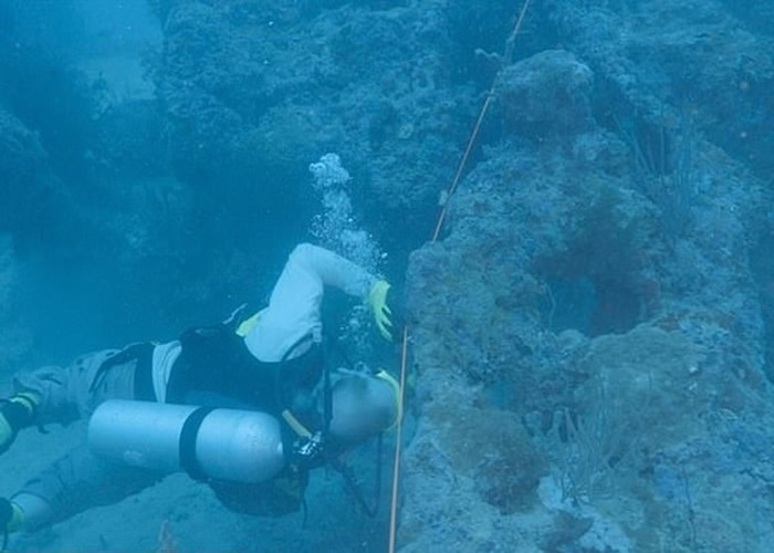 �о��Ŷ��ں��������ɻ��к���