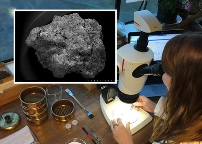 ר�ҹ�����������ʱ����Ӣ�����Ѷ�������ơ�ơ�