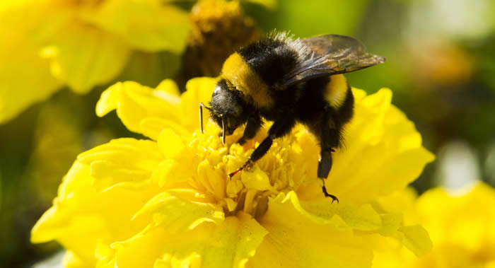 地球生物圈或将遭到灾难性的破坏