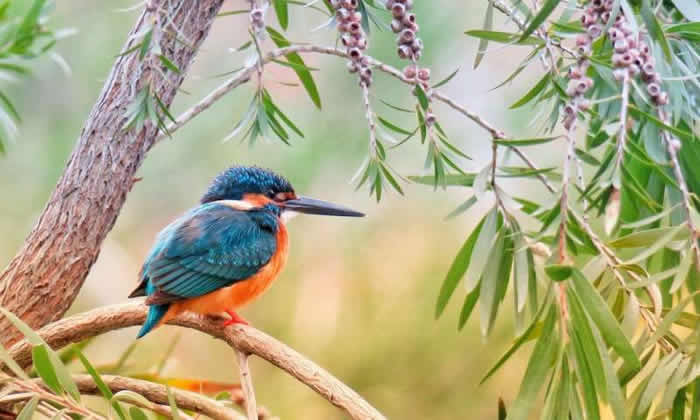 ʱʩͺڶܵóвֵĿѧ