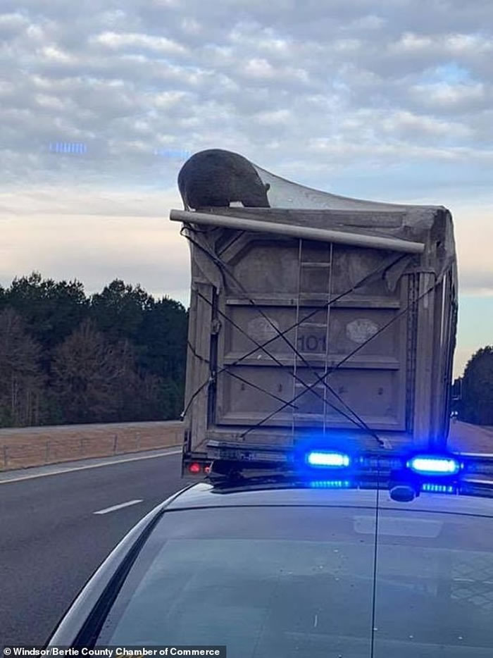 ���������������ݺ�������������Ѱ��ʳ�ﱻ�� ��㱻��ȥ����