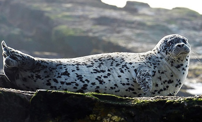 �ߺ������ܵ�͵���������ů��ԭ���Ӱ�췱ֳ��