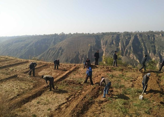 甘肃平凉进行造林工程。