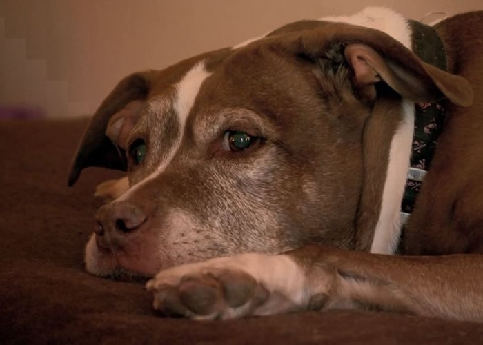 ����ŦԼ�ݴ��Ա���Ȯ����ú��й©�󡰱����� �ɹ�������ȫ��