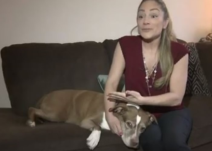 ���ϣ������˹���壨�ң�����Ҫ�á�