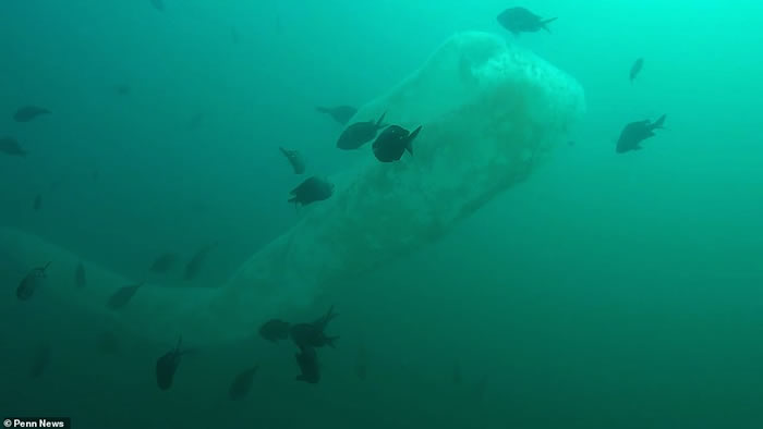 ����������Ǳˮż��9�׳�����������ޡ�������桱