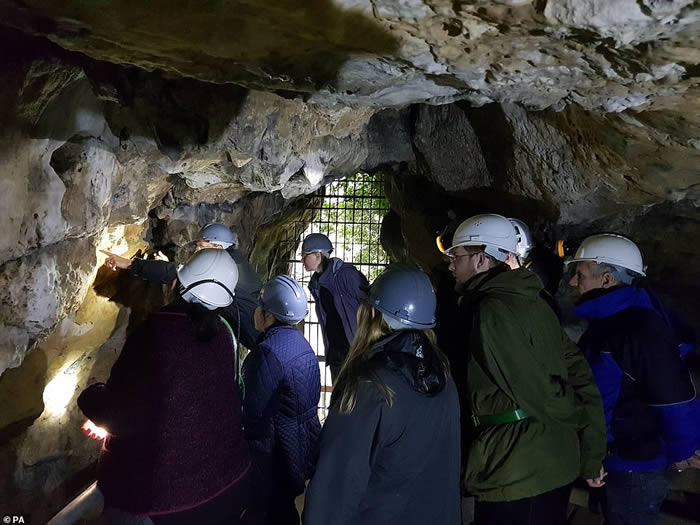 Ӣ��ŵ����������˹Τ������6���궴Ѩ�ڻ�������Ϳѻ ������а�ġ�Ů�׼Ǻš�