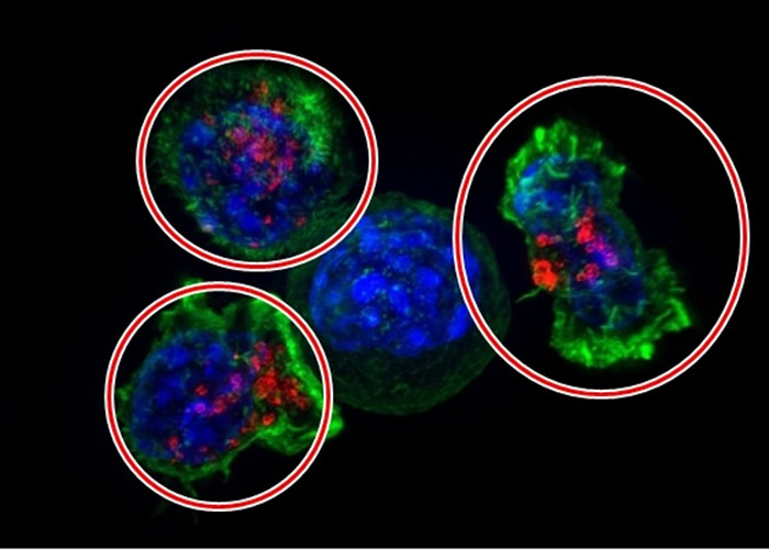 ɱ��Tϸ������Ȧʾ���ɾѻ�����ϸ����