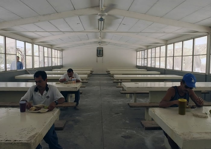 ����Ŀǰ�����ݷ������սϵͣ�����Ϊ���õ�������