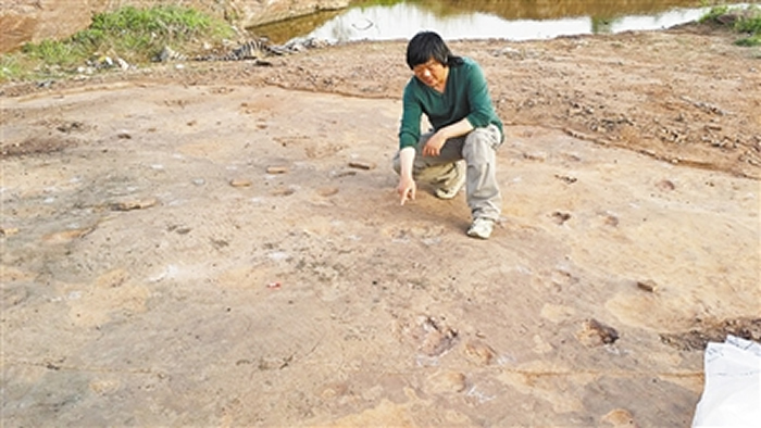 ɽ֡٪޼͹԰ ȺѸ㼣״γ