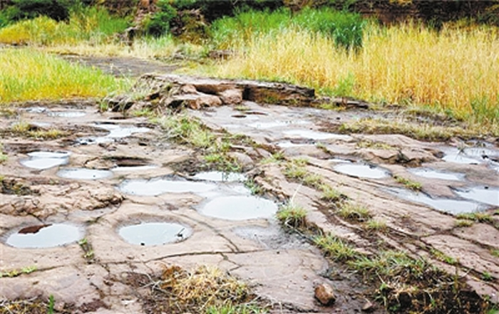 ɽ֡٪޼͹԰ ȺѸ㼣״γ