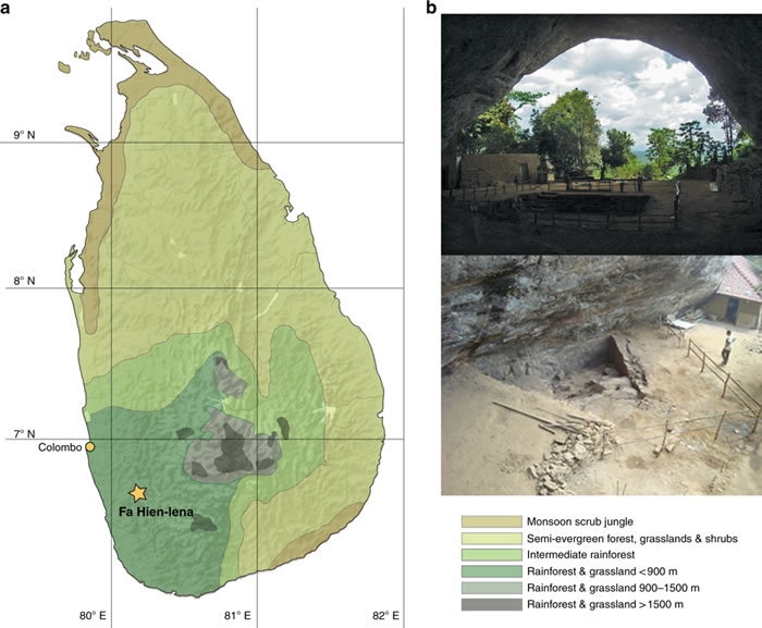 猎杀猴子和松鼠使古人类在热带雨林中茁壮成长